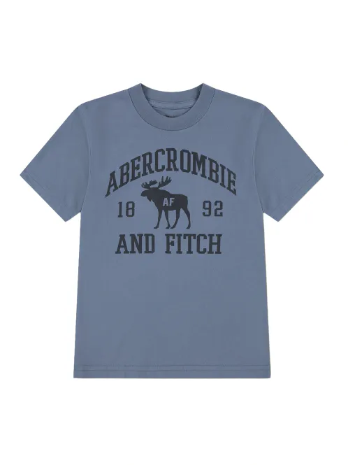 Hovedbilde ABERCROMBIE MOOSE LOCKUP T-SKJORTE