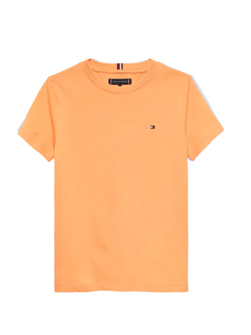Hovedbilde TOMMY HILFIGER REGULAR FIT T-SKJORTE - FADED SUN ...